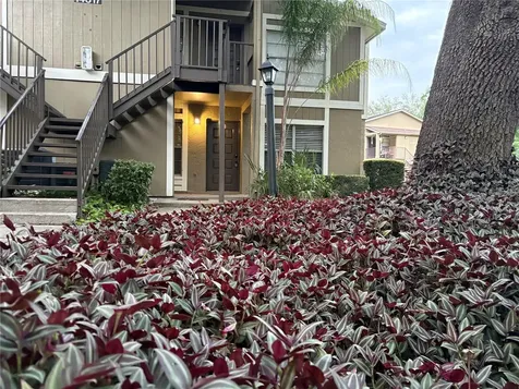 14317 Hanging Moss Circle Tampa FL 33613
