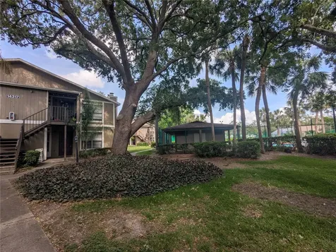 14317 Hanging Moss Circle Tampa FL 33613