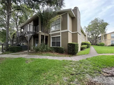14317 Hanging Moss Circle Tampa FL 33613