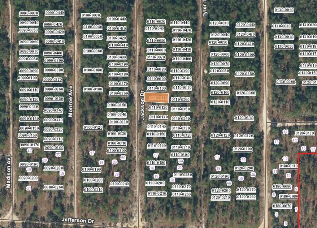 Xx Jackson Drive Hawthorne FL 32640