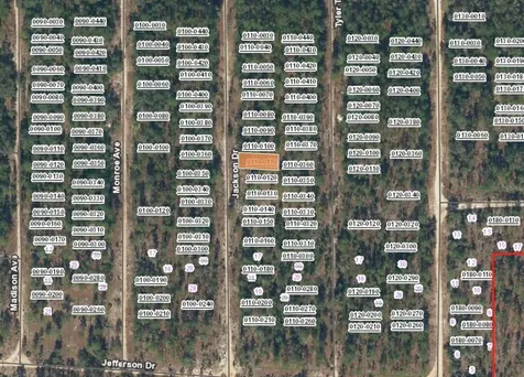 XX Jackson Drive Hawthorne FL 32640