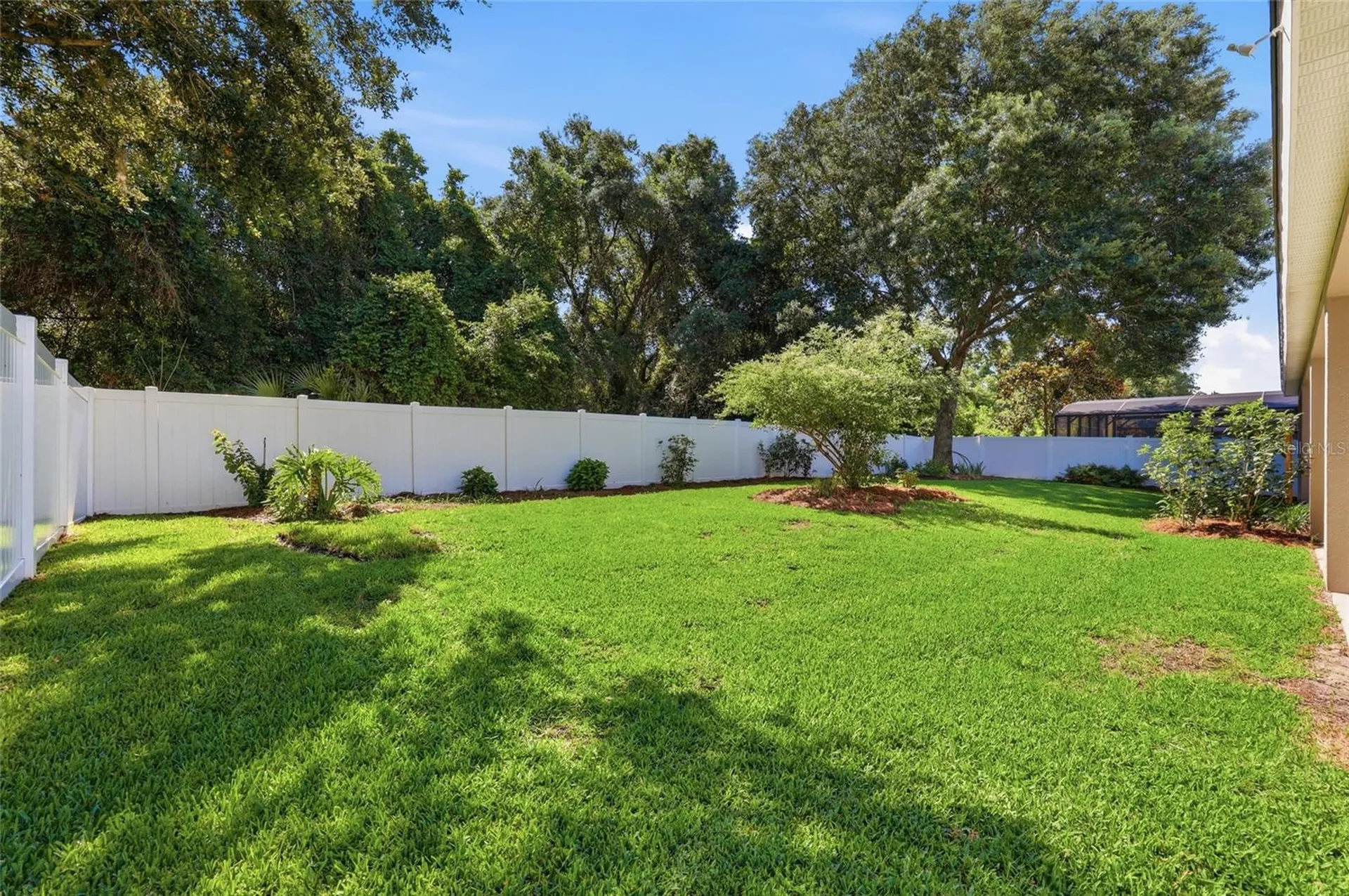 15232 Firelight Drive Winter Garden FL 34787