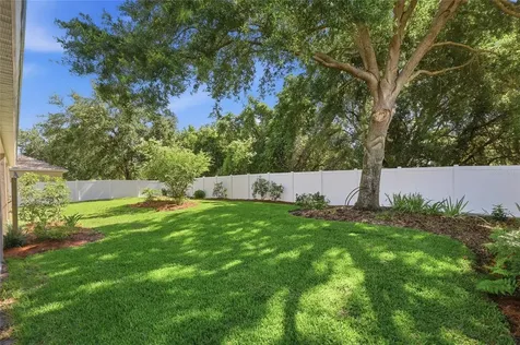 15232 Firelight Drive Winter Garden FL 34787
