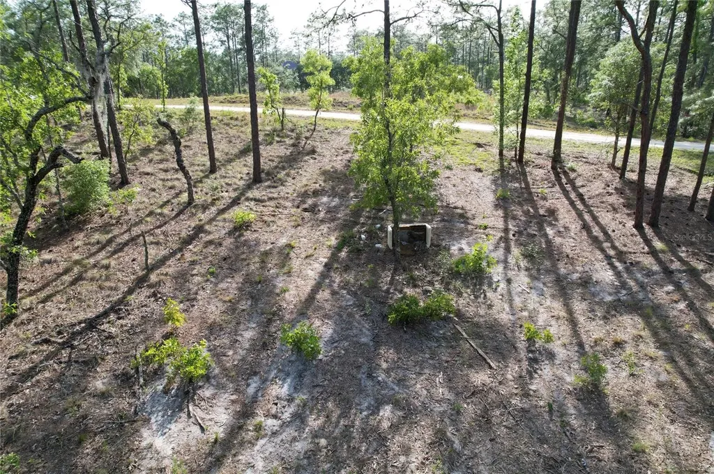 148TH Court Morriston FL 32668