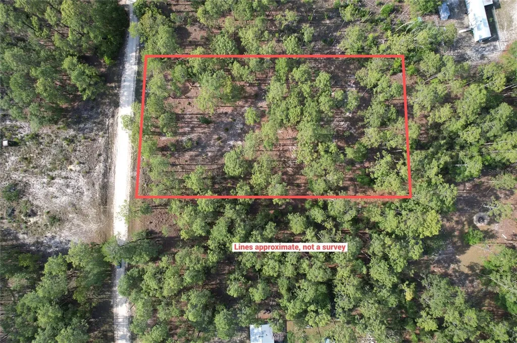 148TH Court Morriston FL 32668
