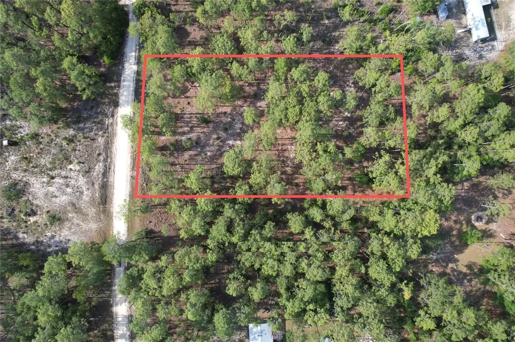148TH Court Morriston FL 32668