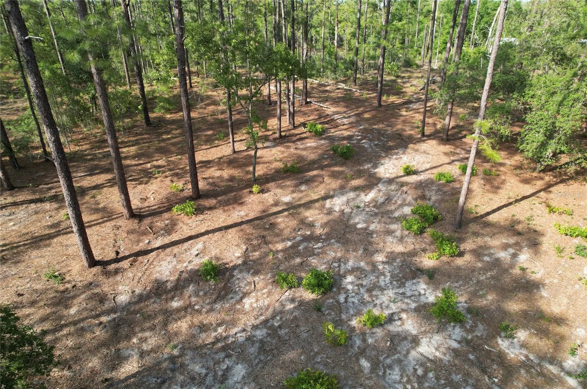 148TH Court Morriston FL 32668
