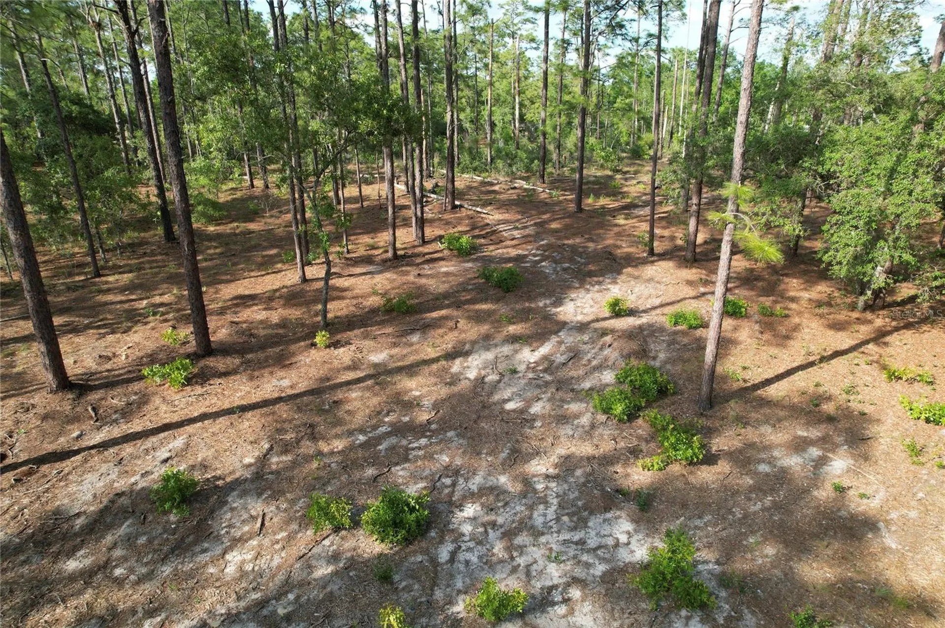 148TH Court Morriston FL 32668