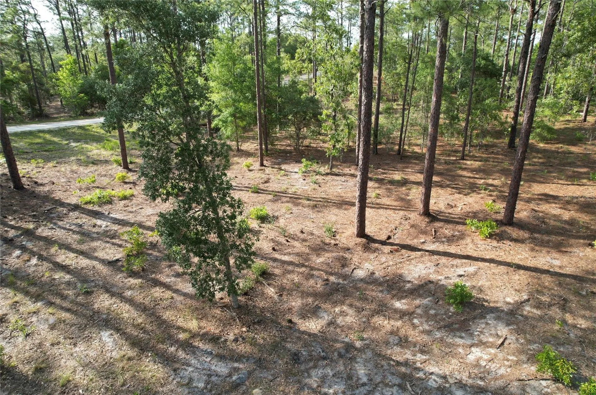 148TH Court Morriston FL 32668