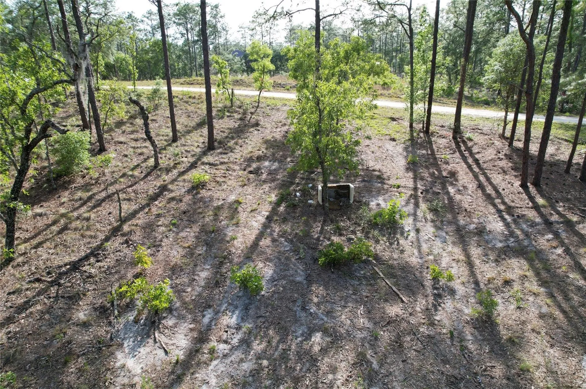 148TH Court Morriston FL 32668