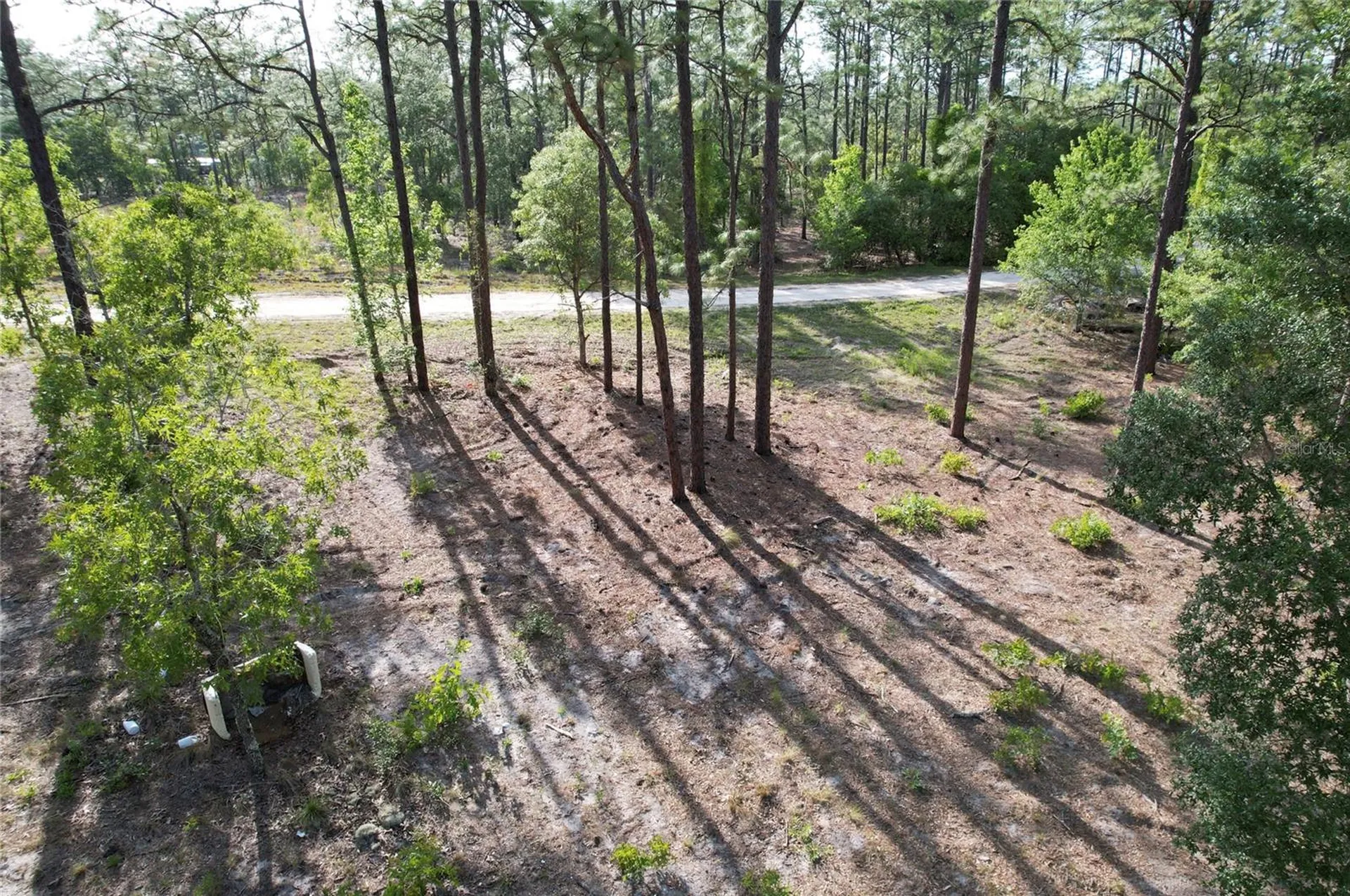 148TH Court Morriston FL 32668