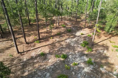 148TH Court Morriston FL 32668