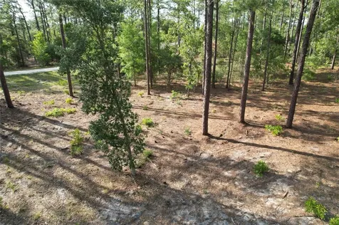 148TH Court Morriston FL 32668