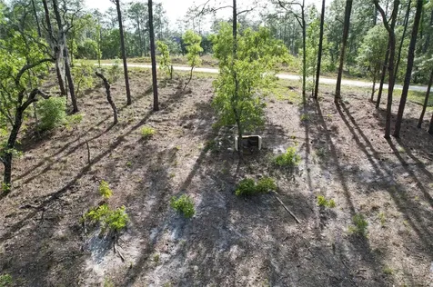 148TH Court Morriston FL 32668