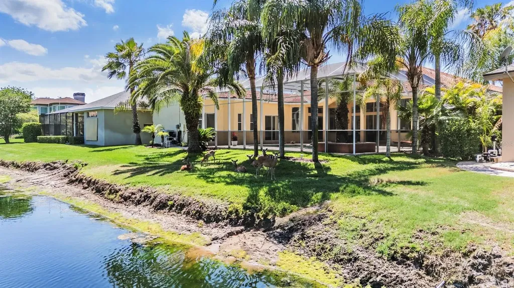 4561 Roanoak Way Palm Harbor FL 34685