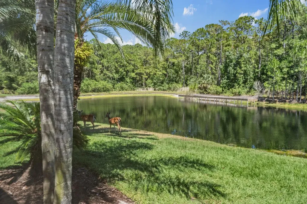 4561 Roanoak Way Palm Harbor FL 34685