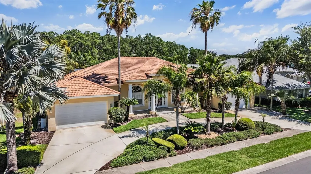4561 Roanoak Way Palm Harbor FL 34685