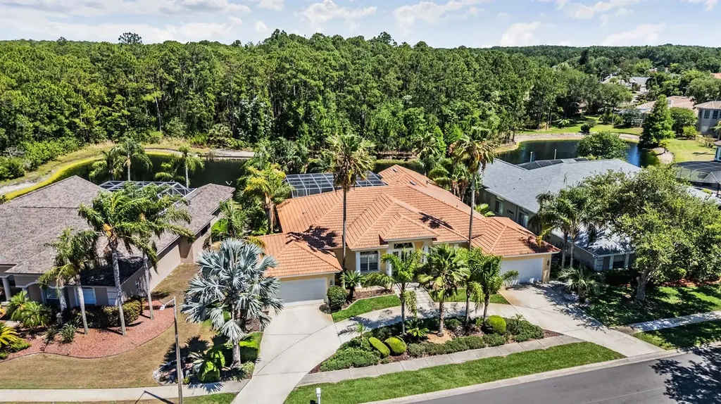 4561 Roanoak Way Palm Harbor FL 34685