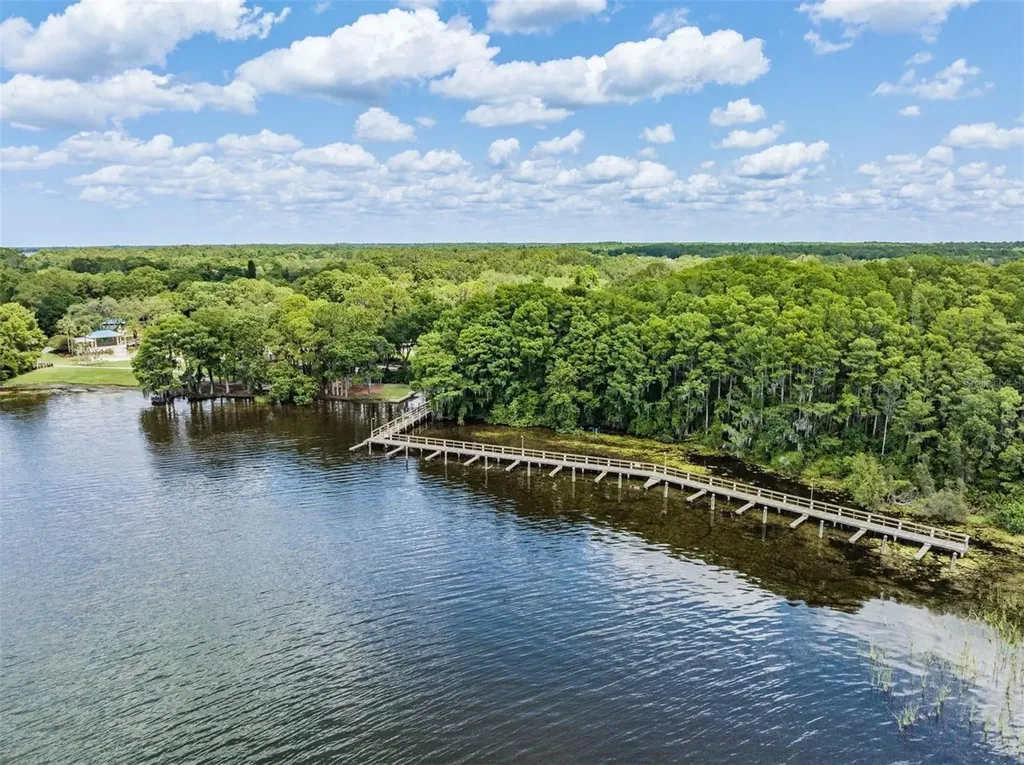 4561 Roanoak Way Palm Harbor FL 34685