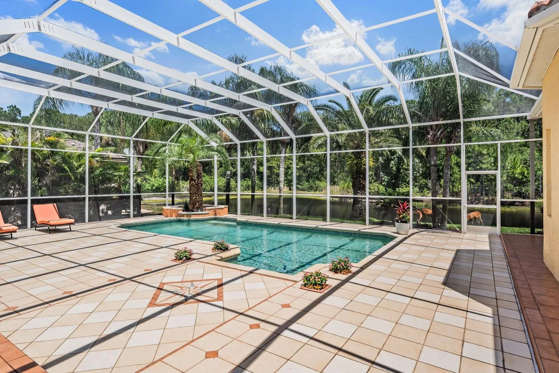 4561 Roanoak Way Palm Harbor FL 34685