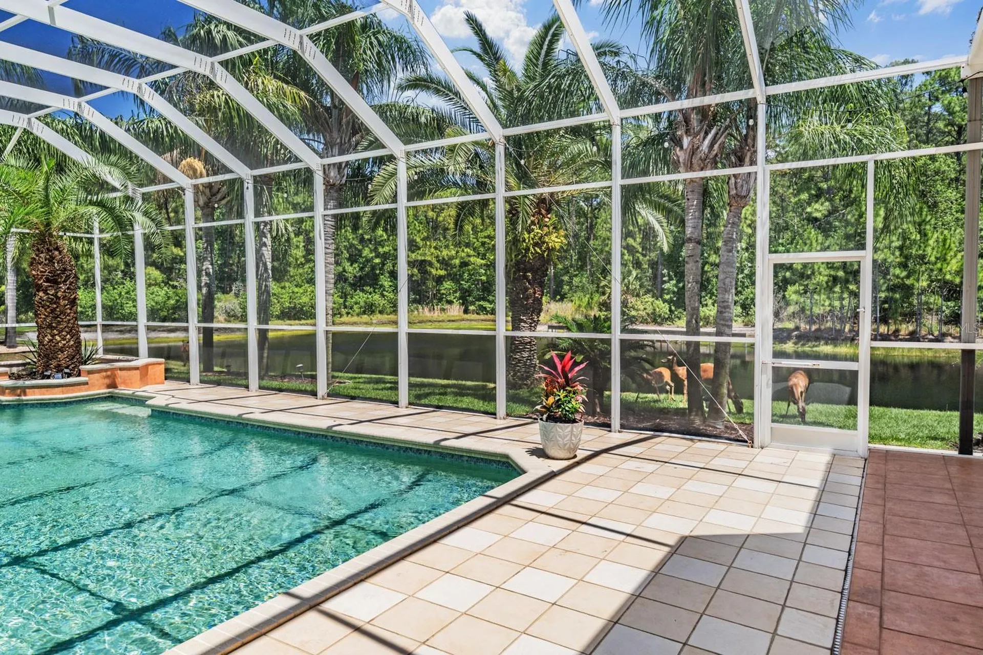 4561 Roanoak Way Palm Harbor FL 34685