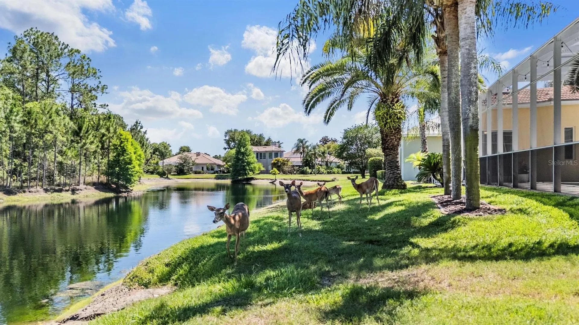 4561 Roanoak Way Palm Harbor FL 34685