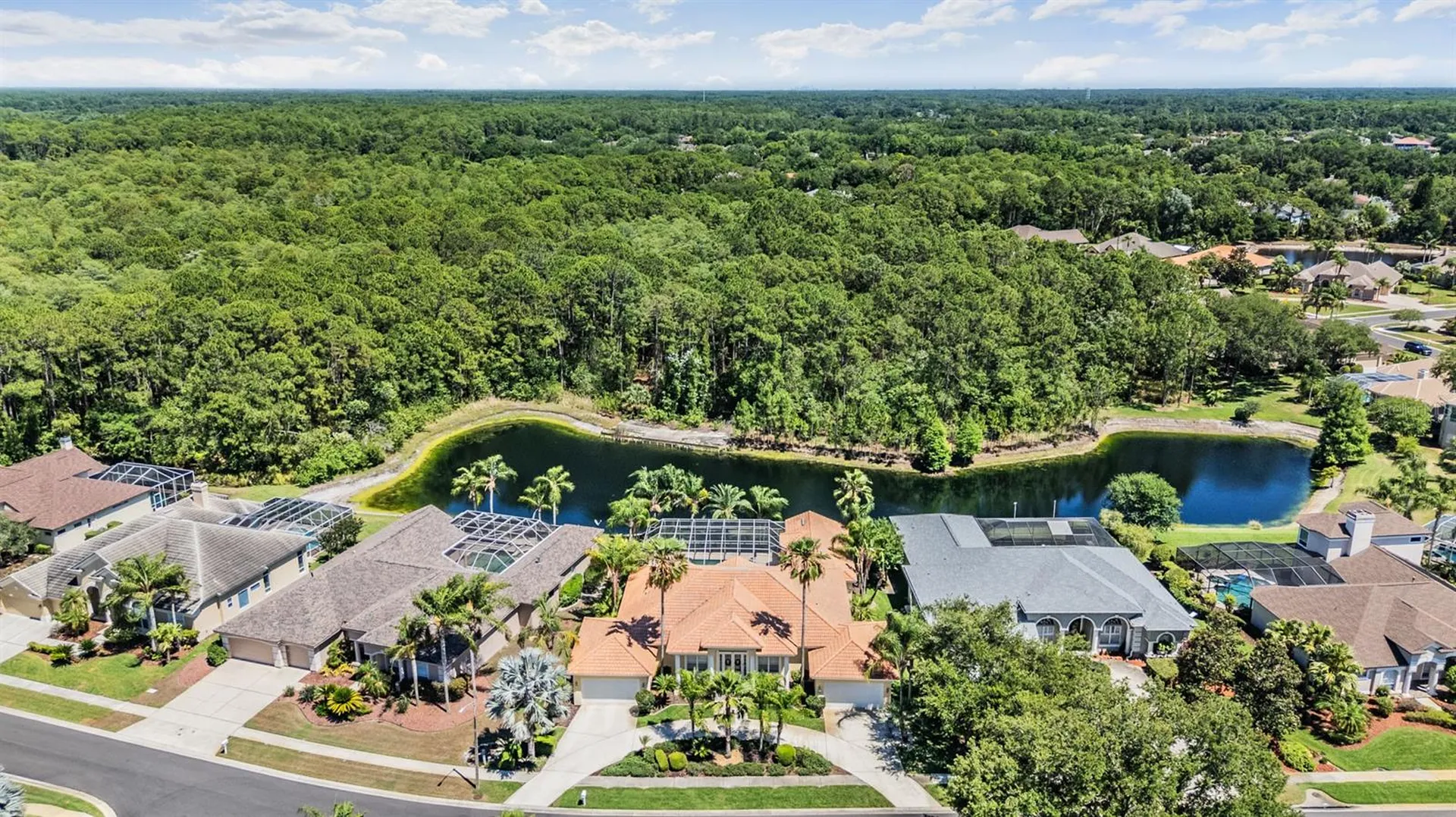 4561 Roanoak Way Palm Harbor FL 34685
