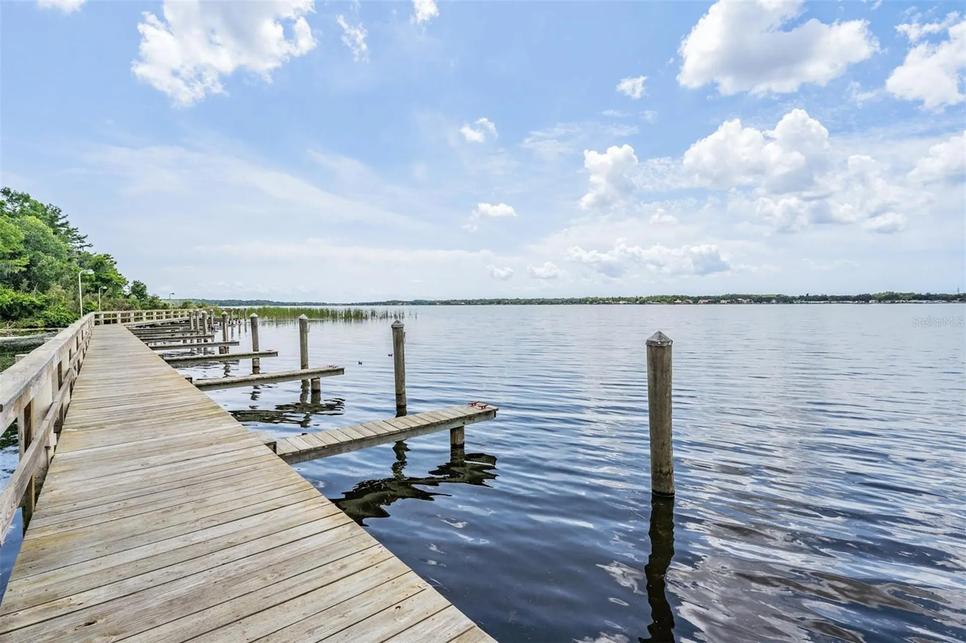 4561 Roanoak Way Palm Harbor FL 34685