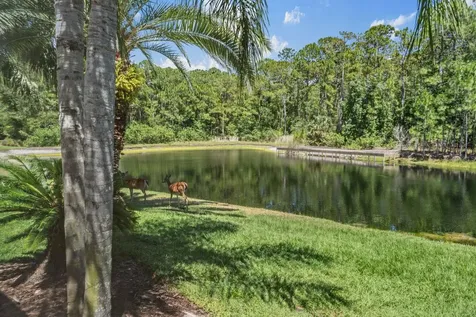 4561 Roanoak Way Palm Harbor FL 34685