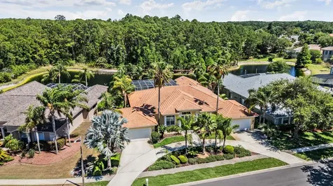 4561 Roanoak Way Palm Harbor FL 34685