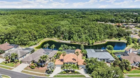 4561 Roanoak Way Palm Harbor FL 34685