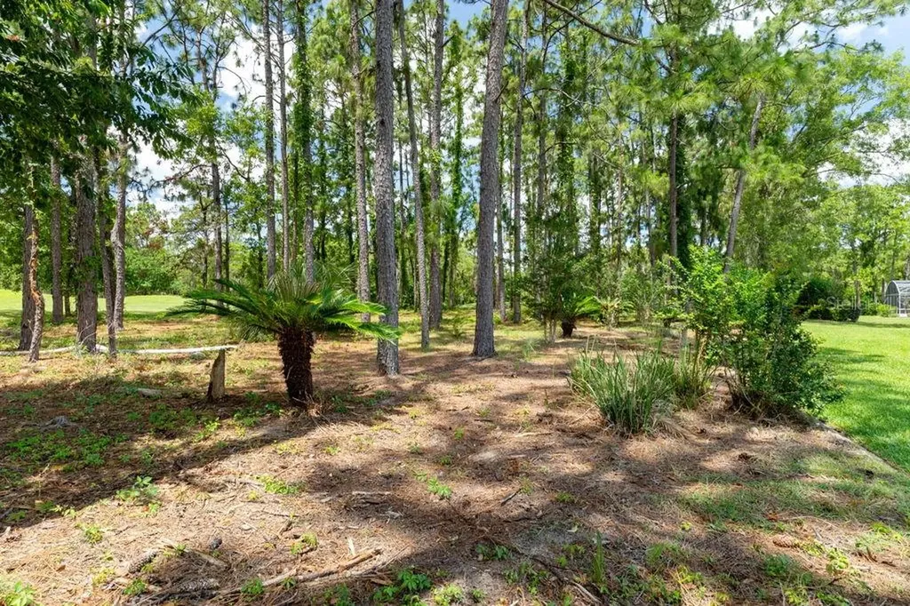 31 Lake Diamond Boulevard Ocala FL 34472