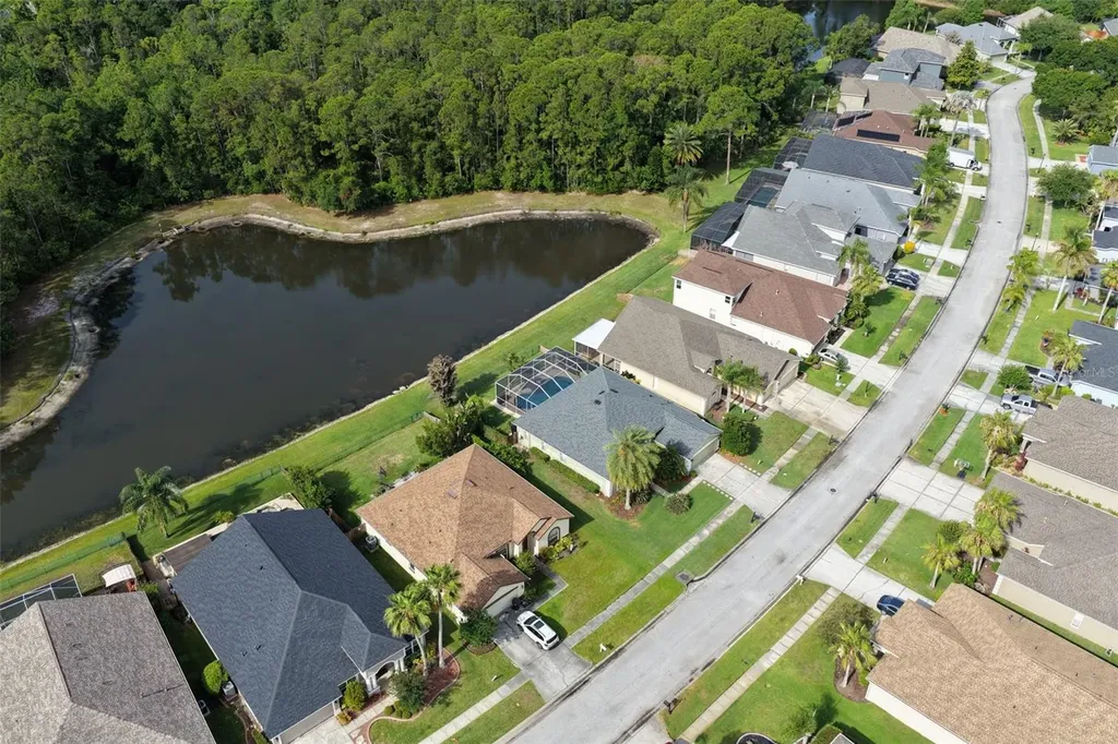 12730 Tar Flower Drive Tampa FL 33626