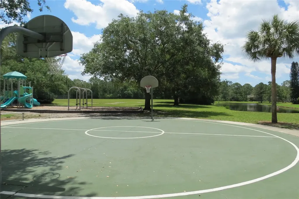 12730 Tar Flower Drive Tampa FL 33626