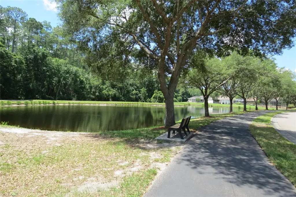 12730 Tar Flower Drive Tampa FL 33626