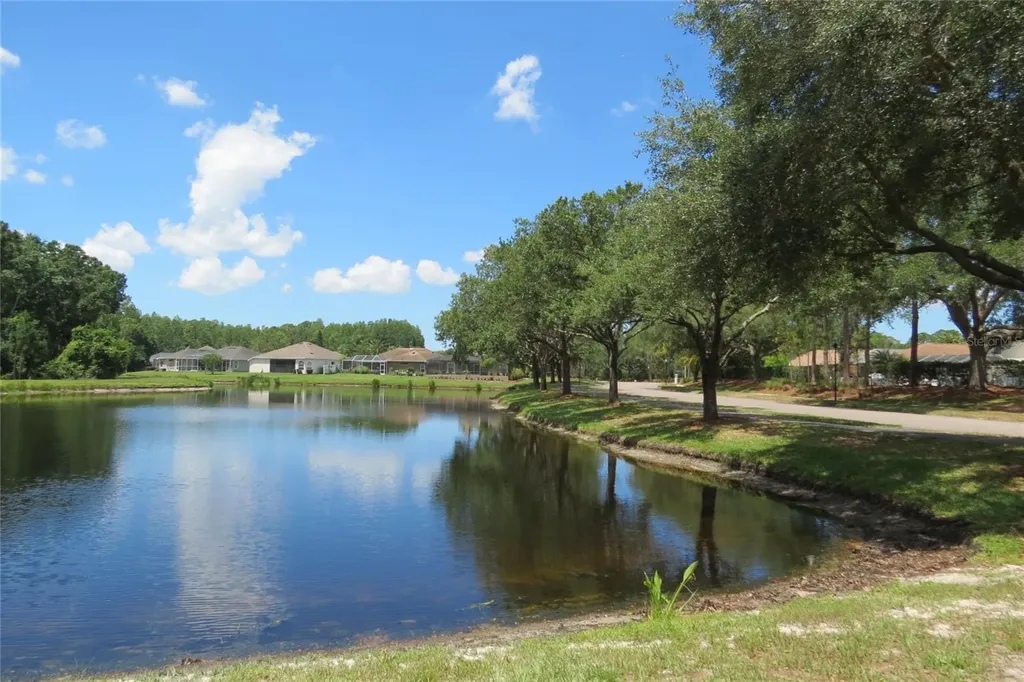 12730 Tar Flower Drive Tampa FL 33626