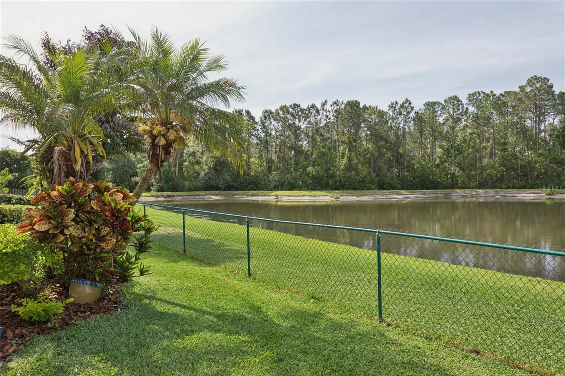 12730 Tar Flower Drive Tampa FL 33626