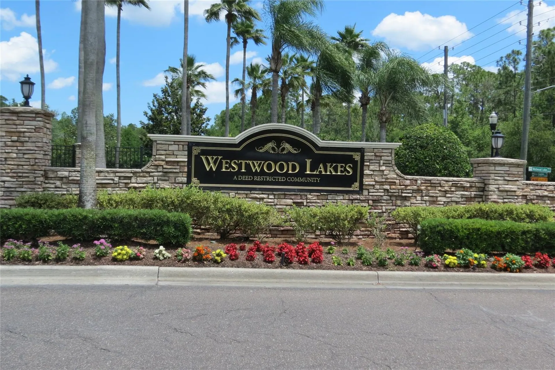 12730 Tar Flower Drive Tampa FL 33626