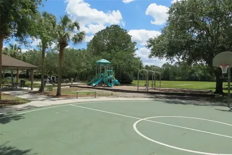 12730 Tar Flower Drive Tampa FL 33626