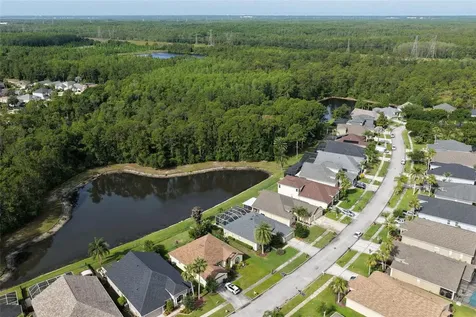 12730 Tar Flower Drive Tampa FL 33626