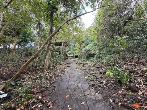 Bo Jimenez Carr 966 Rio Grande PR 00745