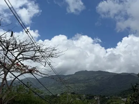 Bo Jimenez Carr 966 Rio Grande PR 00745