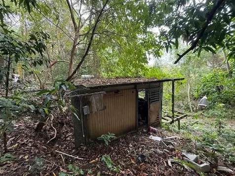 Bo Jimenez Carr 966 Rio Grande PR 00745