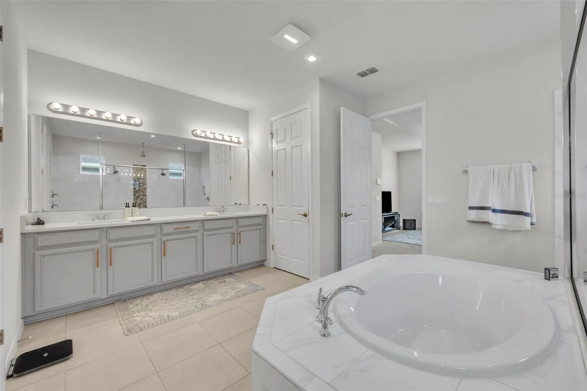 3351 Hanging Tide Street Winter Garden FL 34787
