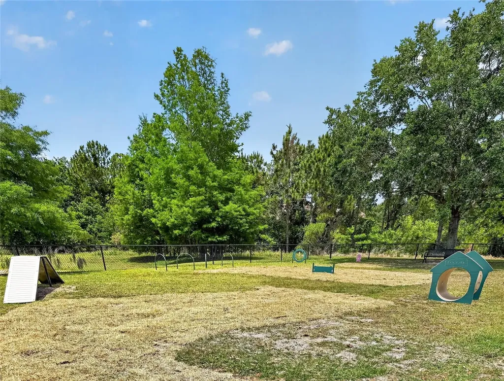 14002 Avenue Of The Groves Winter Garden FL 34787