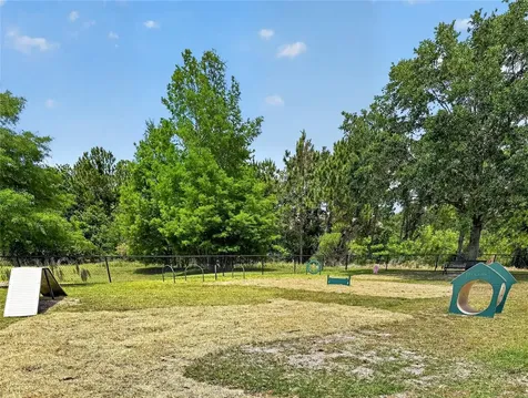 14002 Avenue Of The Groves Winter Garden FL 34787