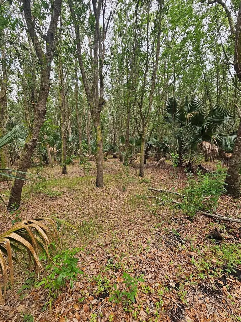 601 Howard Avenue Oviedo FL 32765