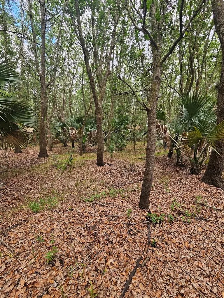 601 Howard Avenue Oviedo FL 32765