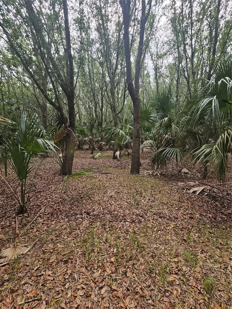 601 Howard Avenue Oviedo FL 32765