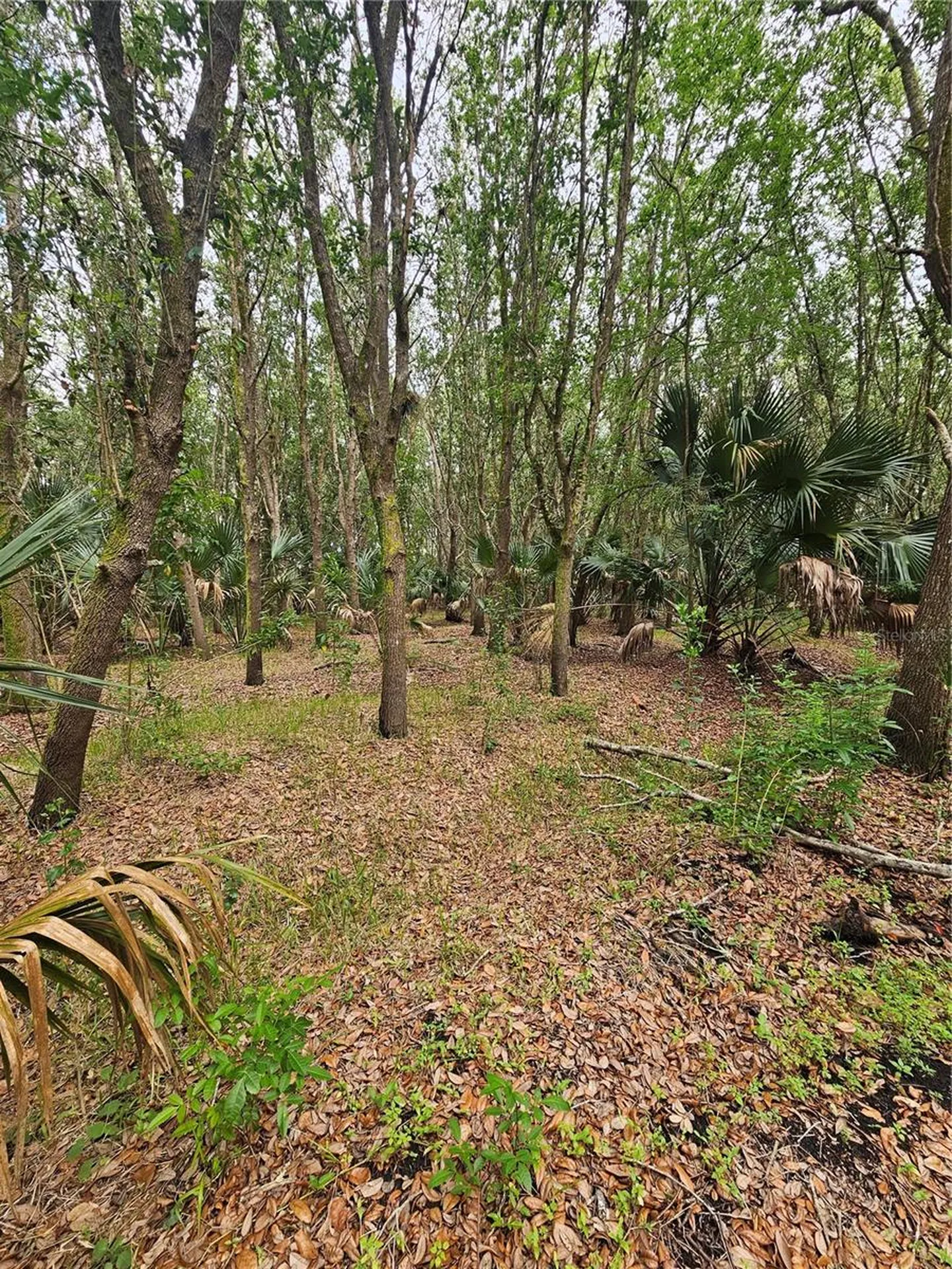 601 Howard Avenue Oviedo FL 32765